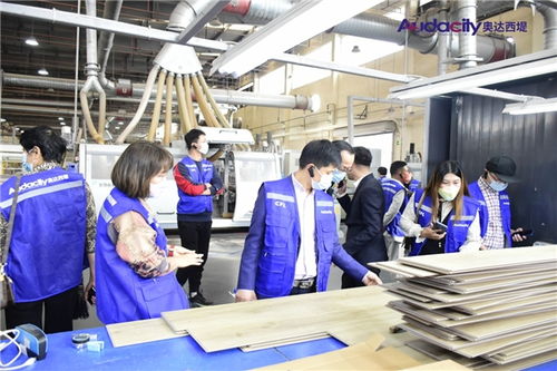 奧達西堤石晶地板招商及培訓會盛大啟幕 攜手共創(chuàng)健康人居新未來